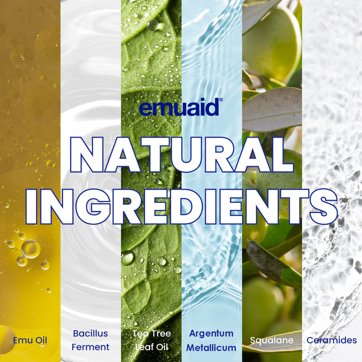 ingrédients naturels huiles et extraits emuaid