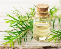 Huile de feuilles d'arbre à thé