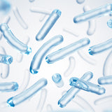 Ferment Bacillus (Postbiotique)